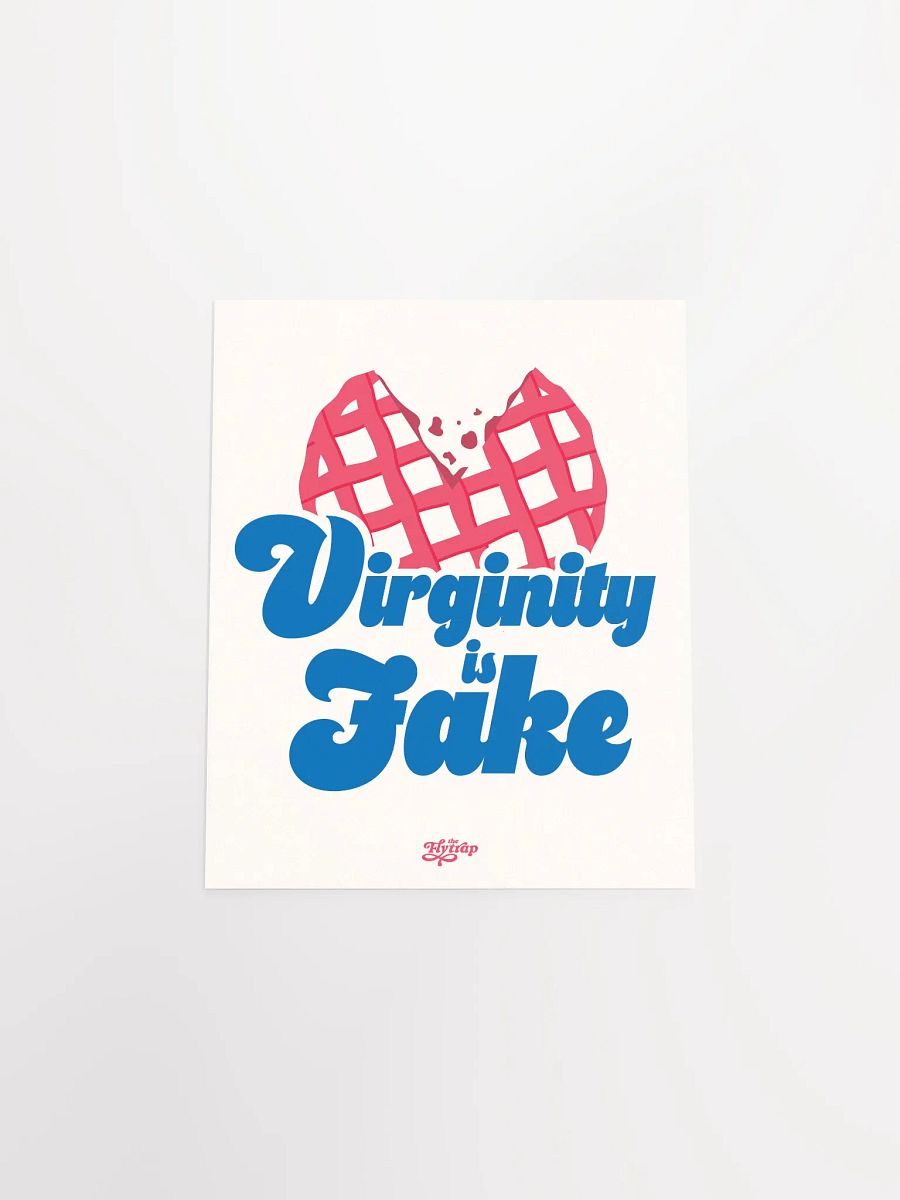 Virginity is Fake 8x10 poster product image (4)