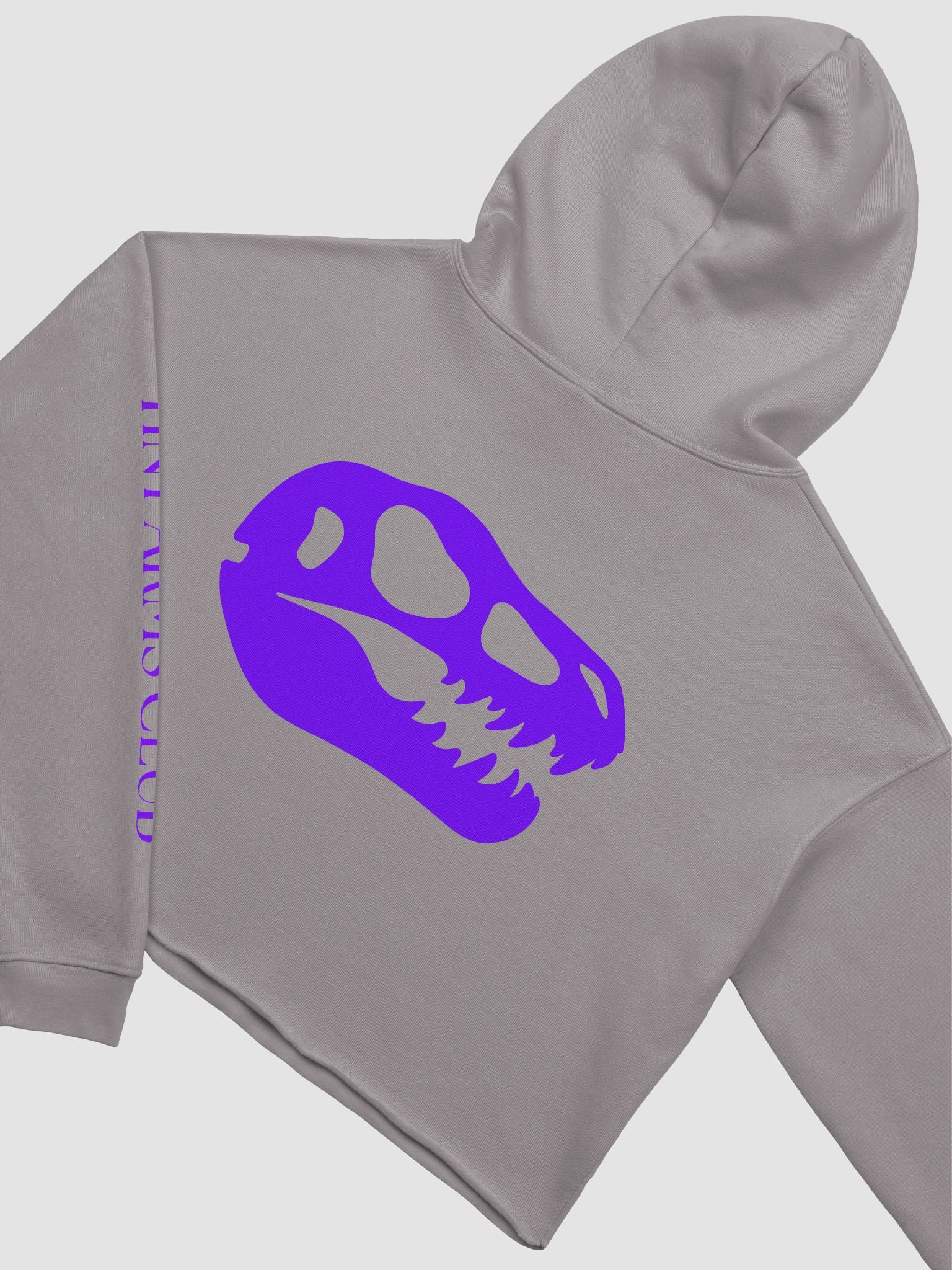 TyyRex Logo Crop Hoodie product image (28)