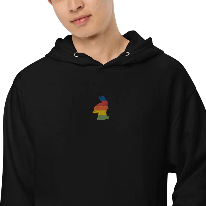 Rainbow Llama Hoodie - Black product image (2)