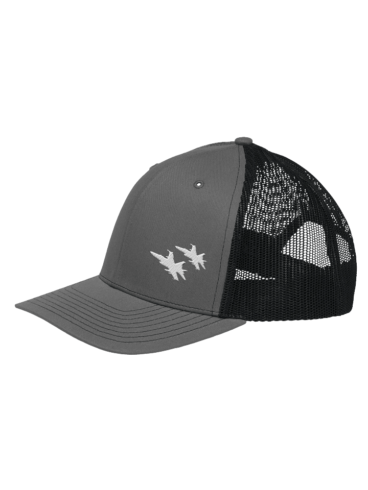 Twin Hornets Logo Hat, Charcoal product image (2)