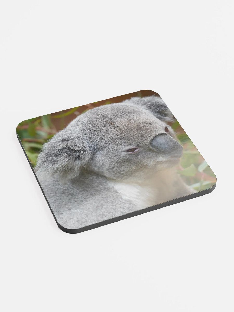 Koala Coaster product image (2)