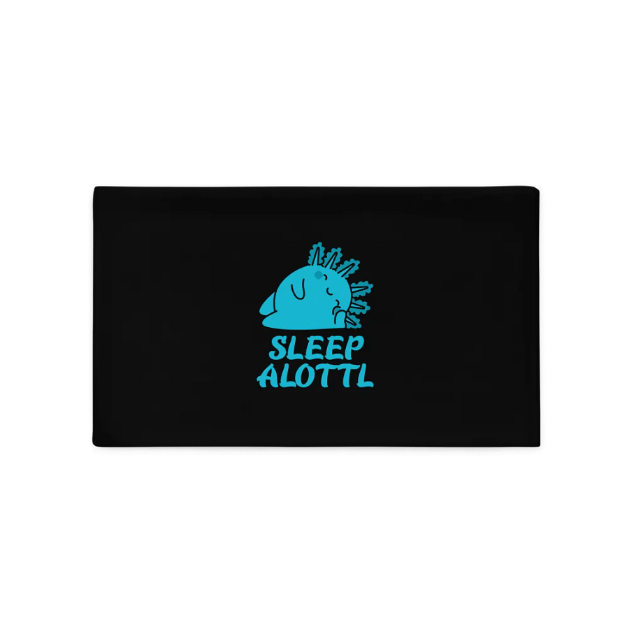 Sleep Alottl Kissenbezug product image (1)