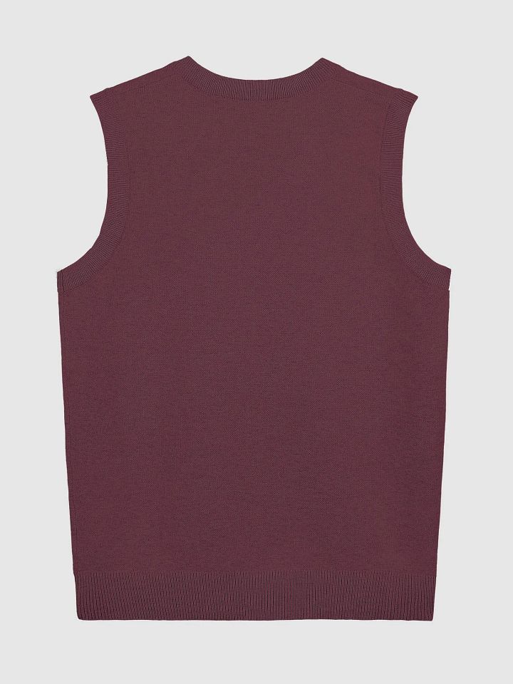 BUSY-BRAINED (maroon and white) knitwear vest product image (10)