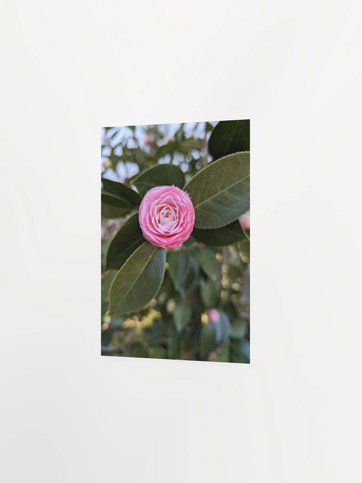 Blooming Beauty Matte Poster product image (11)
