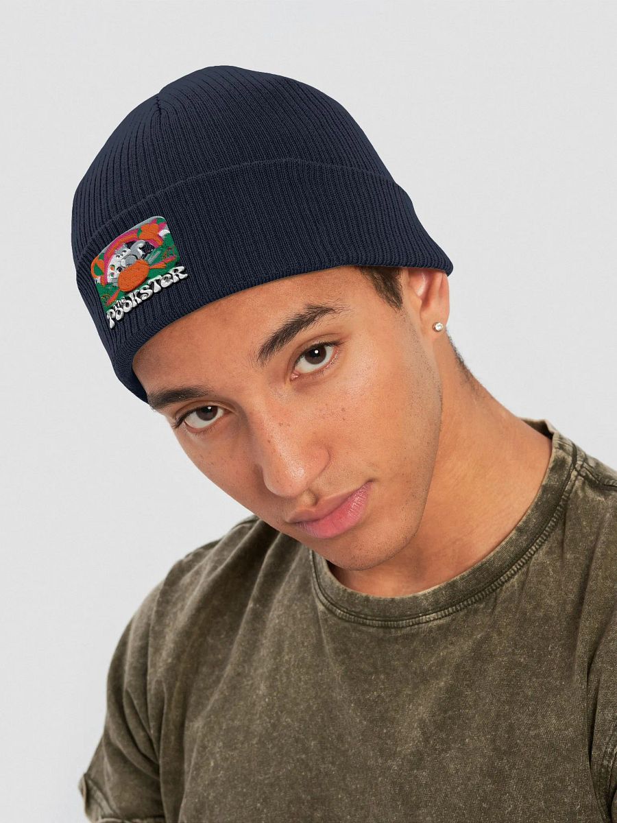 Organic Cotton Embroidered Beanie: Psychedelic Pookster and Mushrooms! VERY 60s/70s Retro Accurate! product image (4)