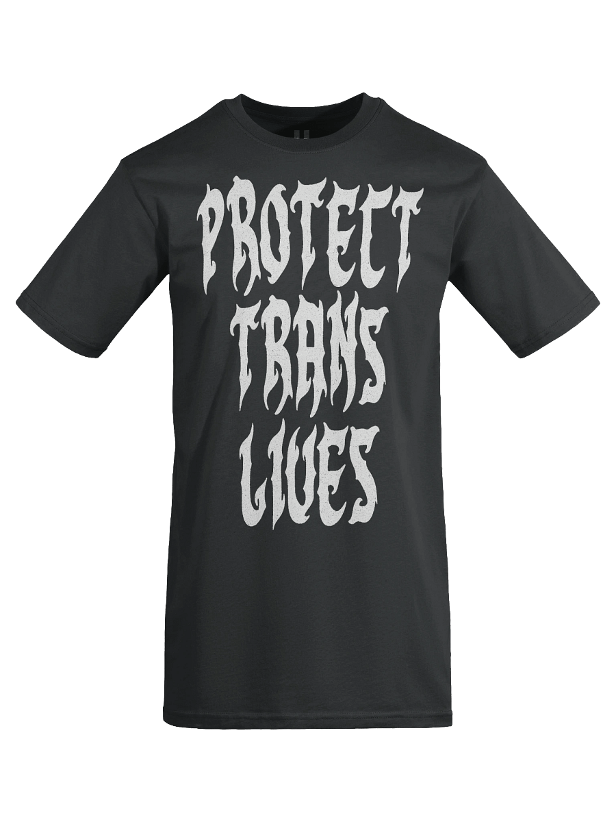 Protect Trans Lives Tee product image (8)