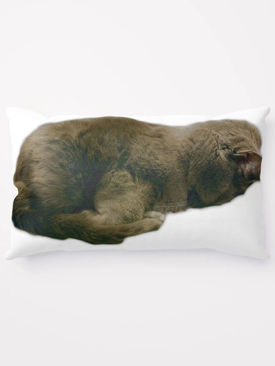 Smokey & Zoey Sleepy Pillow product image (5)