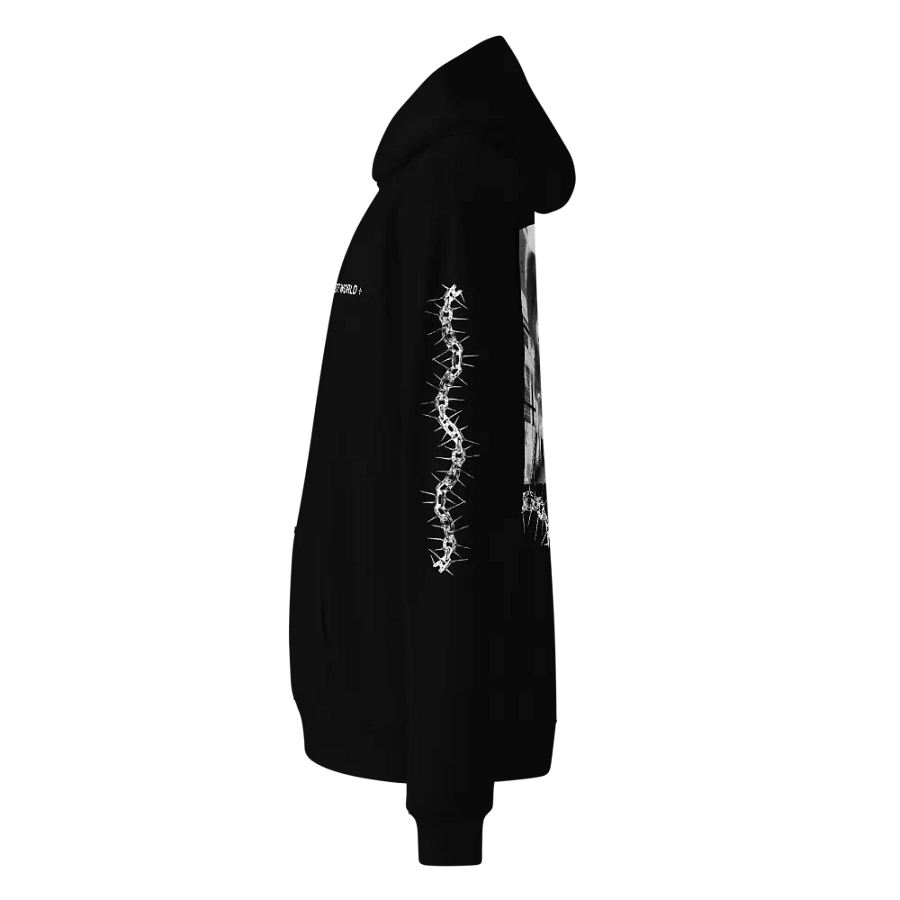 ⊹ TO FIND YOU IN THE NEXT WORLD ⊹ - HOODIE product image (3)