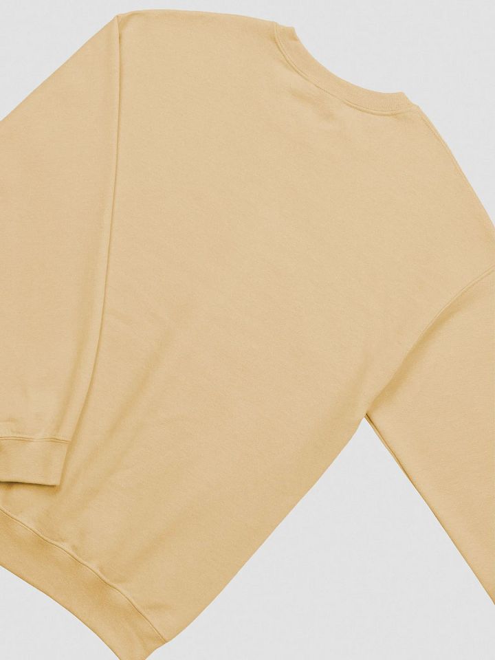 FUNNY *and* SENSITIVE embroidered crewneck product image (2)