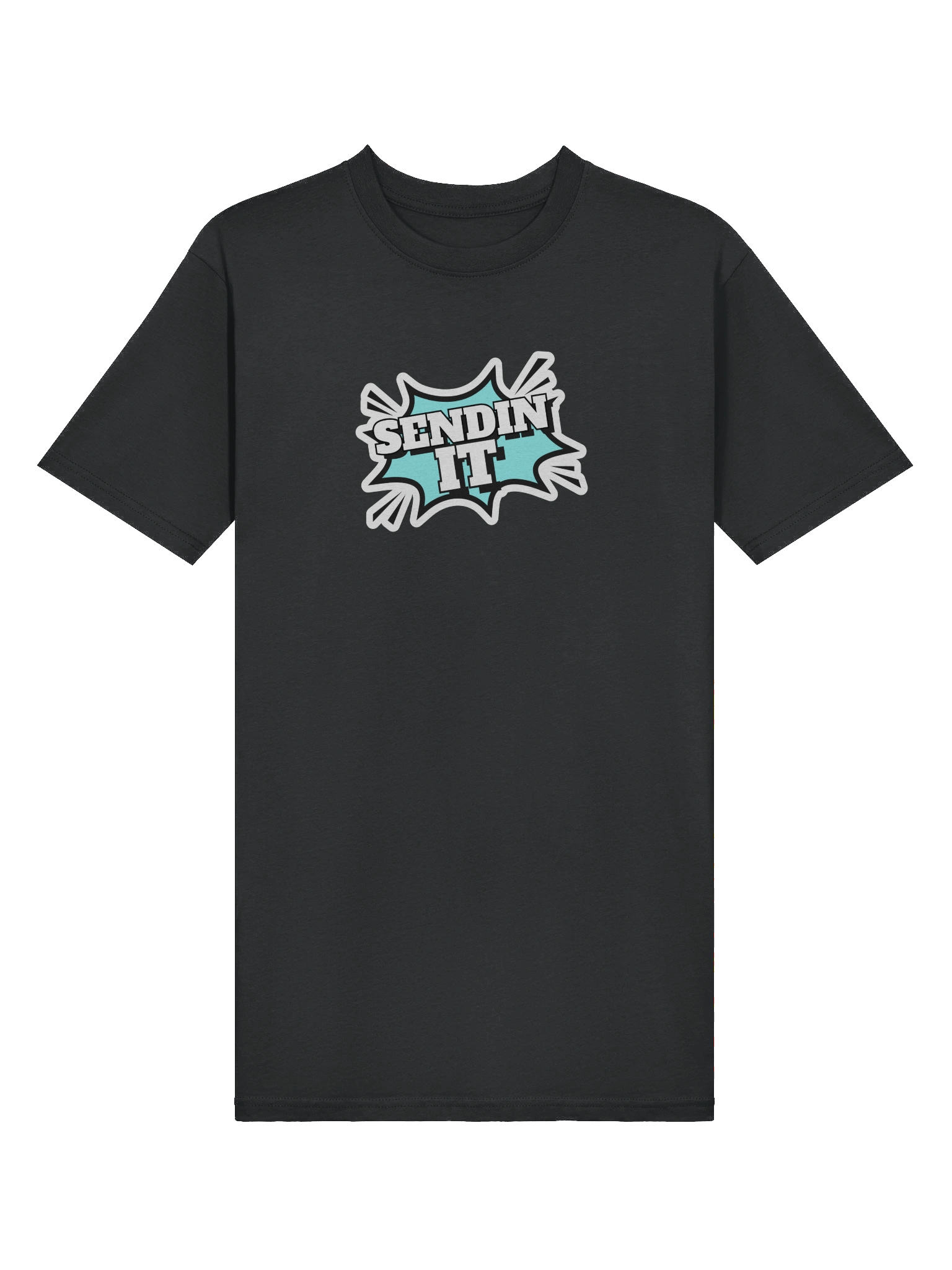 Sendin It! - Men's Tee product image (3)