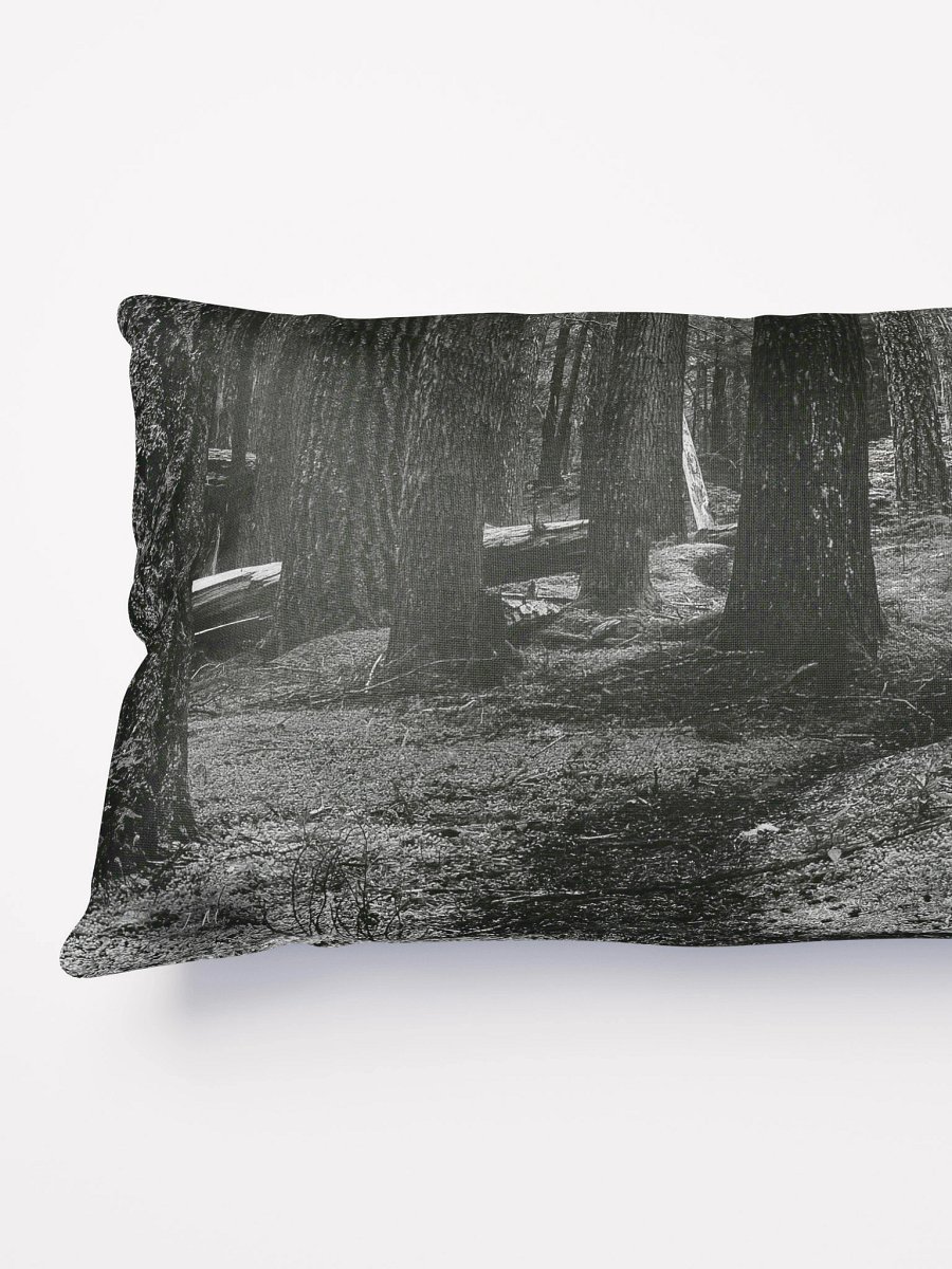 Hiking in the Buckhorn Wilderness Pillow product image (3)