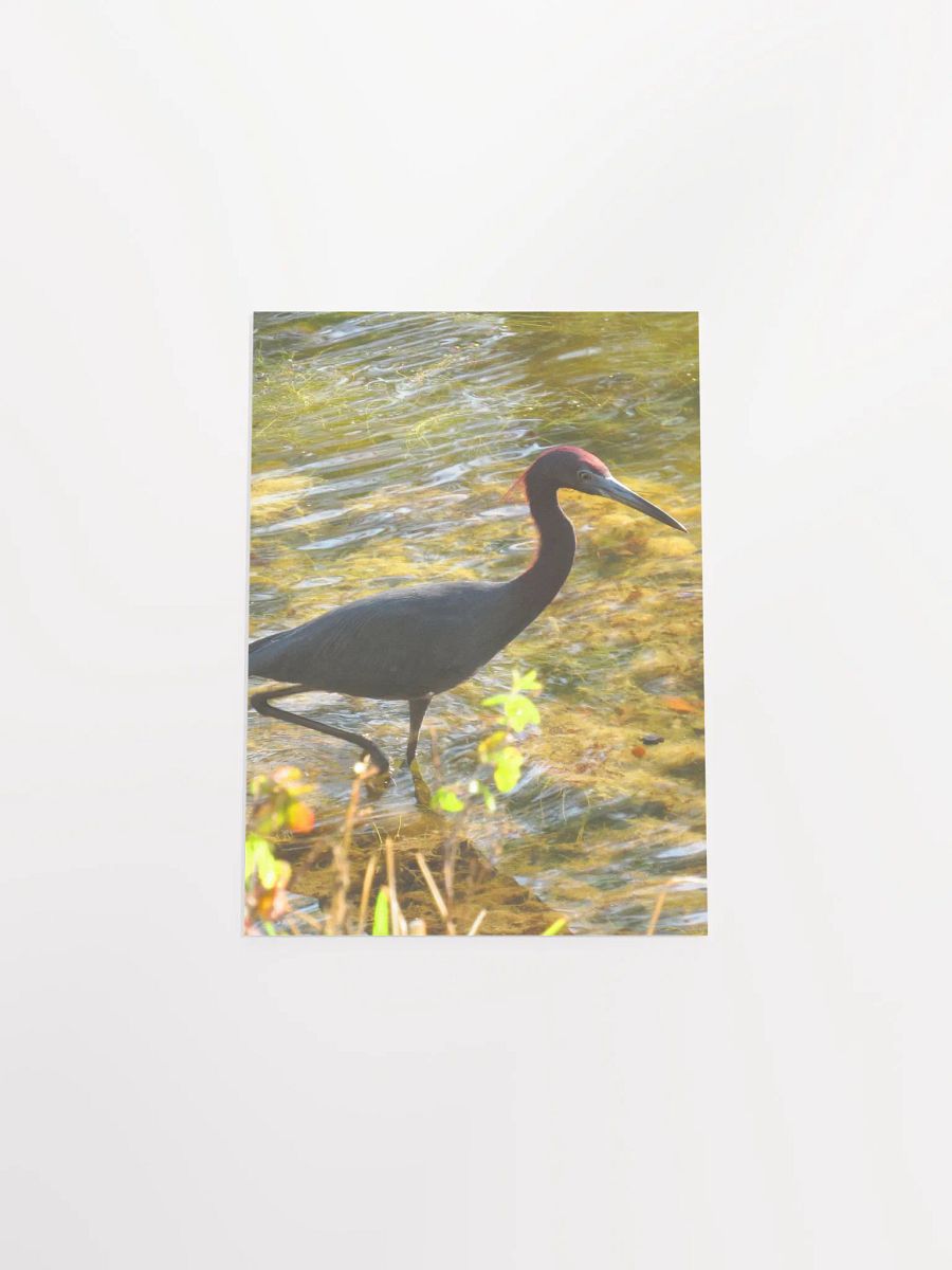 Heron product image (48)