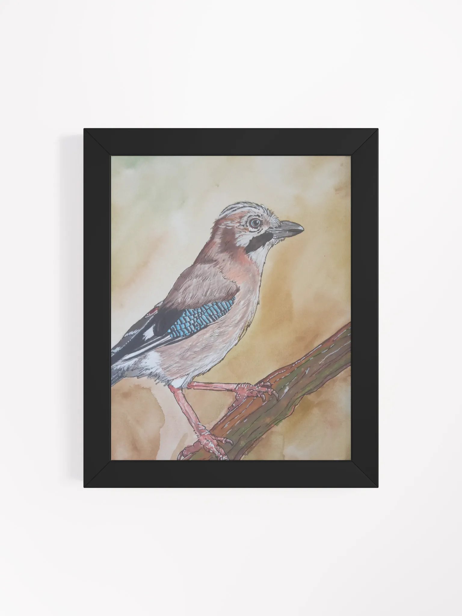 Corvis Series [01] Eurasian jay framed print product image (4)