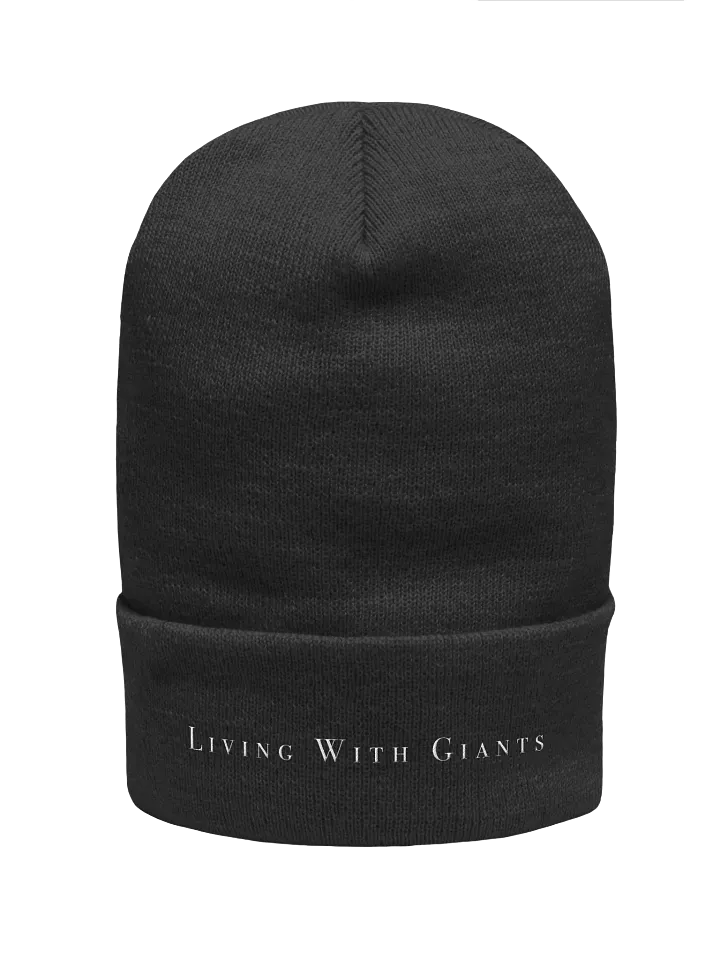 Cuffed Beanie product image (1)