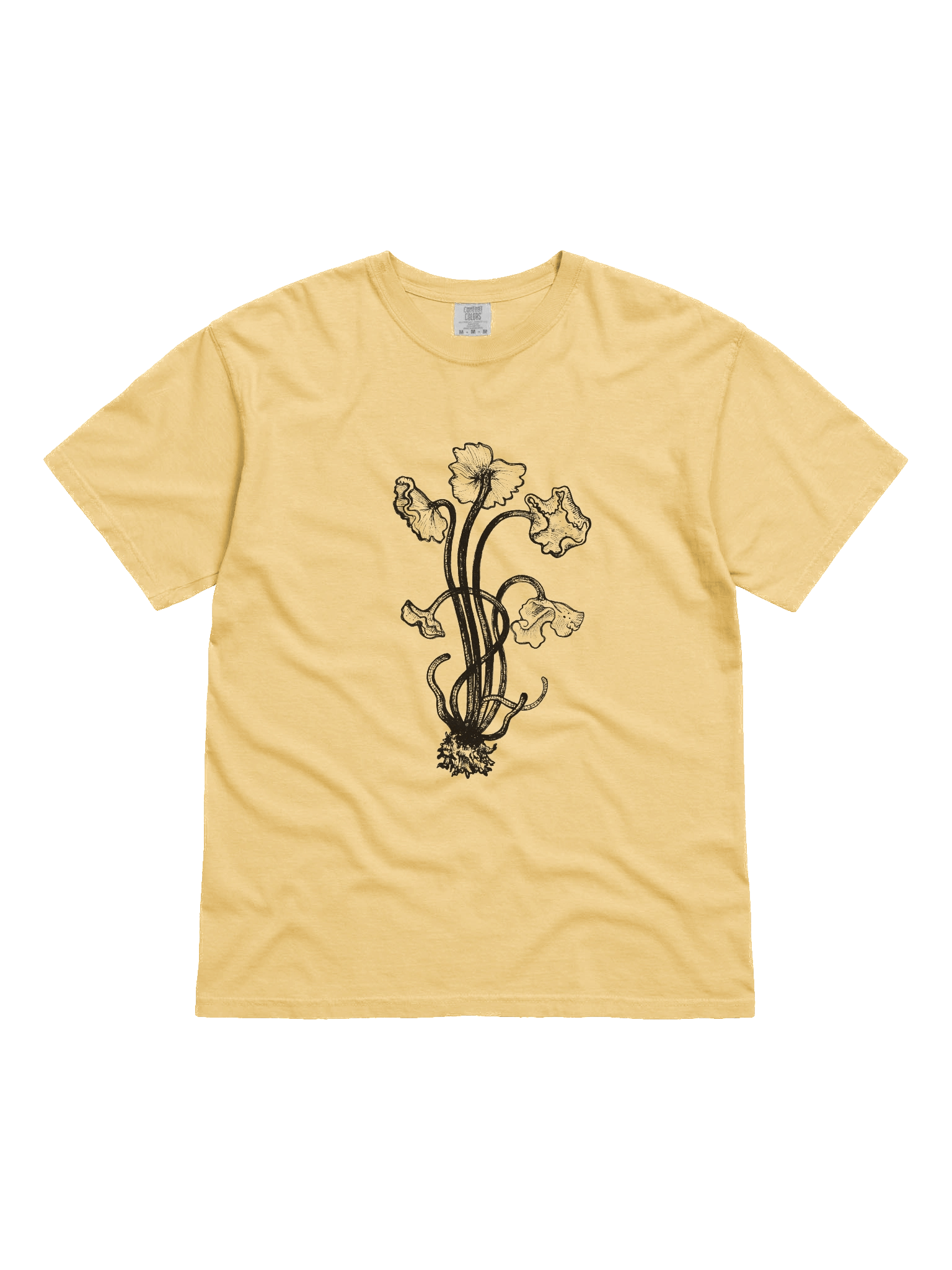 Brown Chanterelle - Print product image (41)
