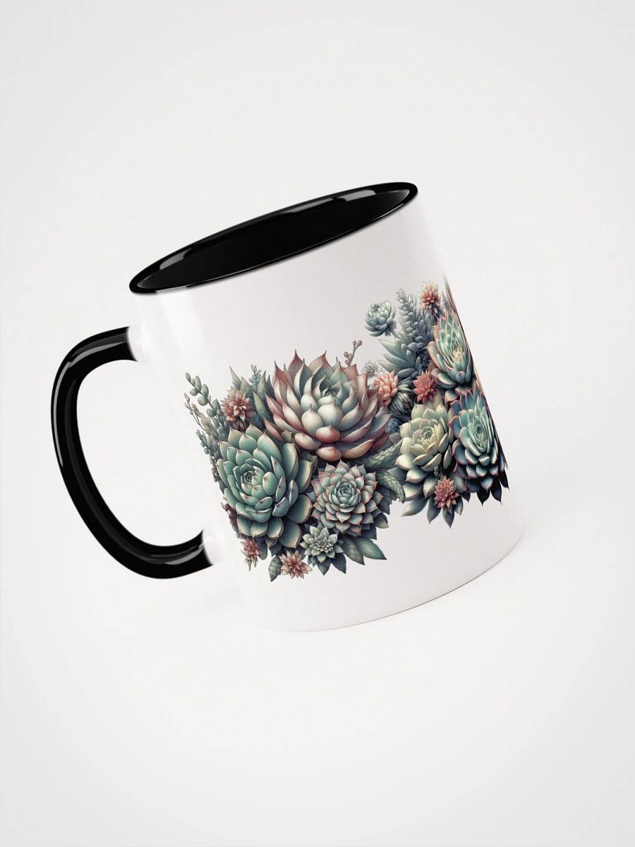 Succulents couleur/color product image (4)