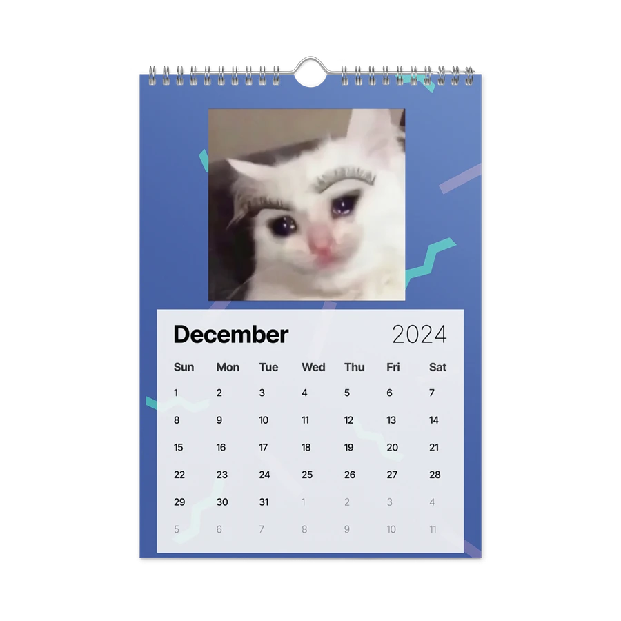 Wall Calendar (2024): Meme Cats product image (6)