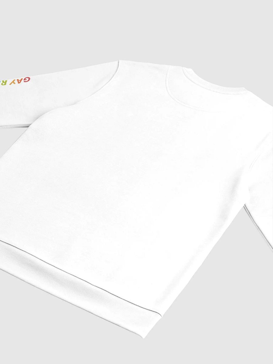 Gay Unisex Eco Sweatshirt product image (4)