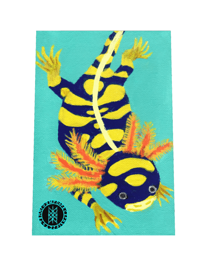 Gone Fission June Banded Axolotl Matte Paper Poster product image (1)