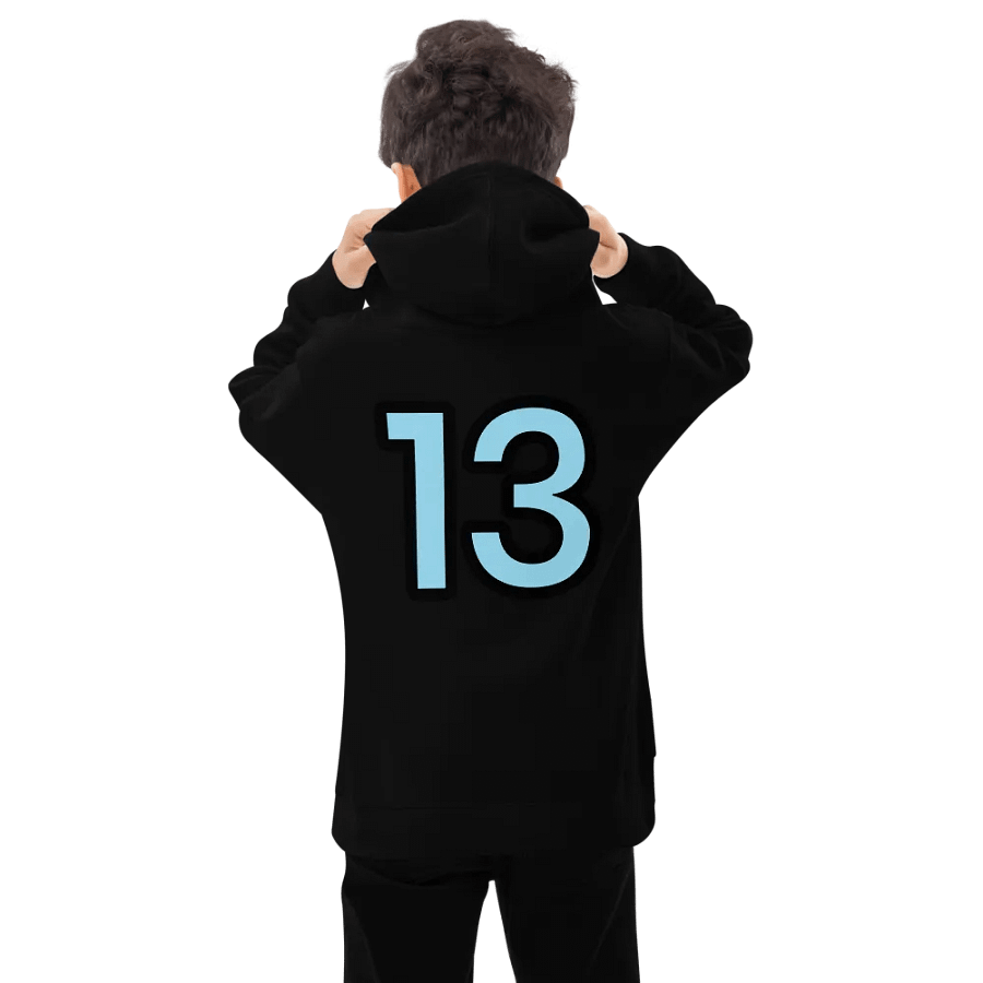 Sully 13 Edition Youth Hoodie product image (9)