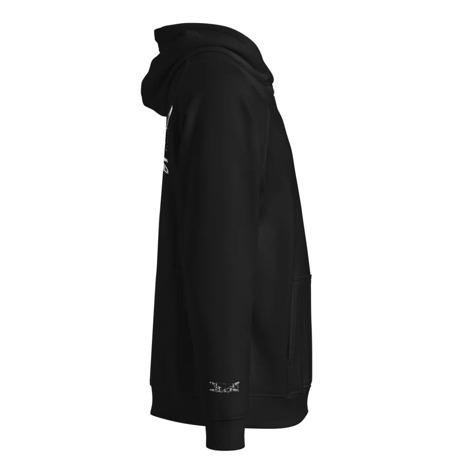 Unisex Eco Raglan Hoodie - Black HApex Gear Black Logo product image (3)