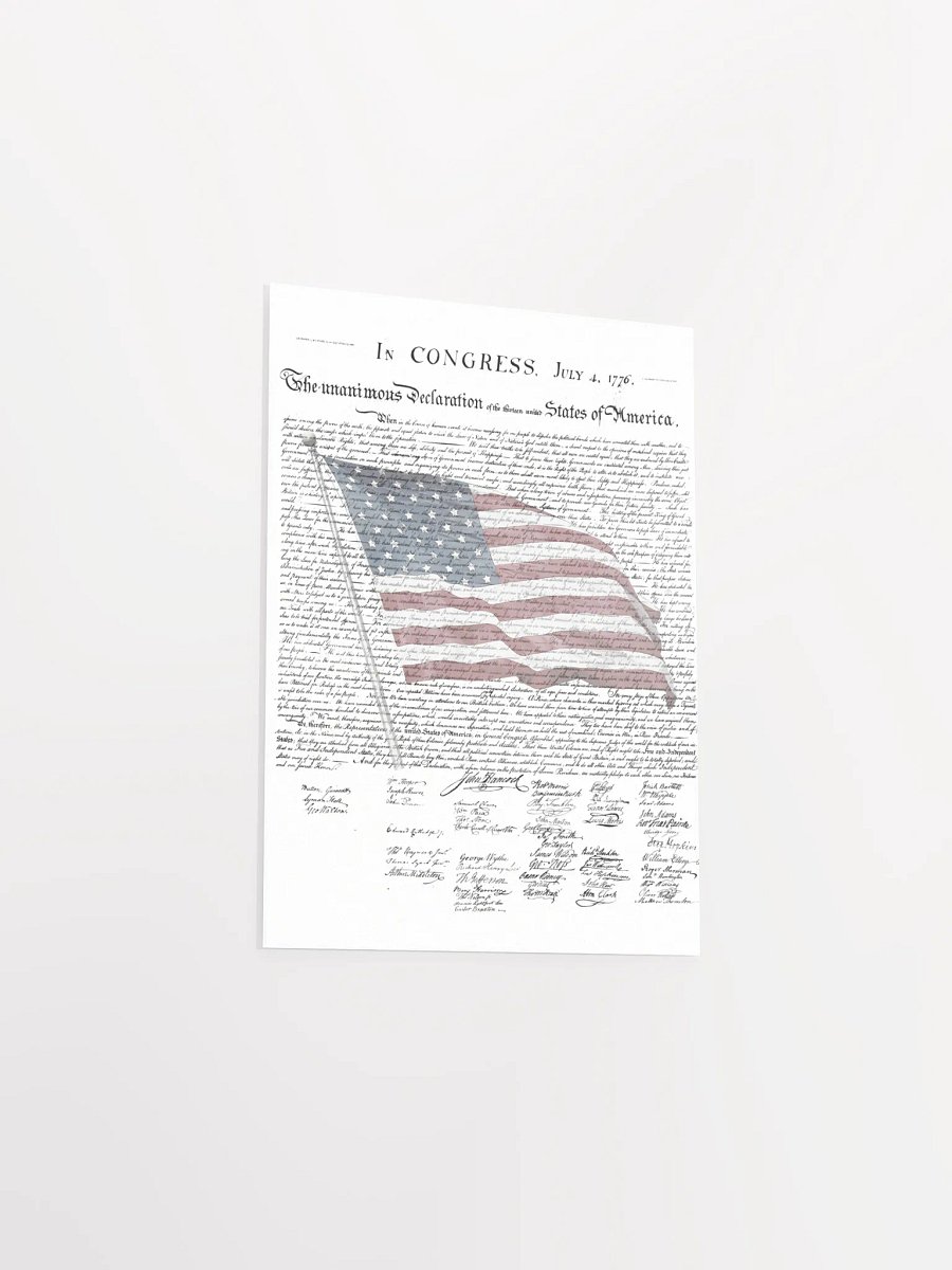 PATRIOTIC PRINT product image (14)