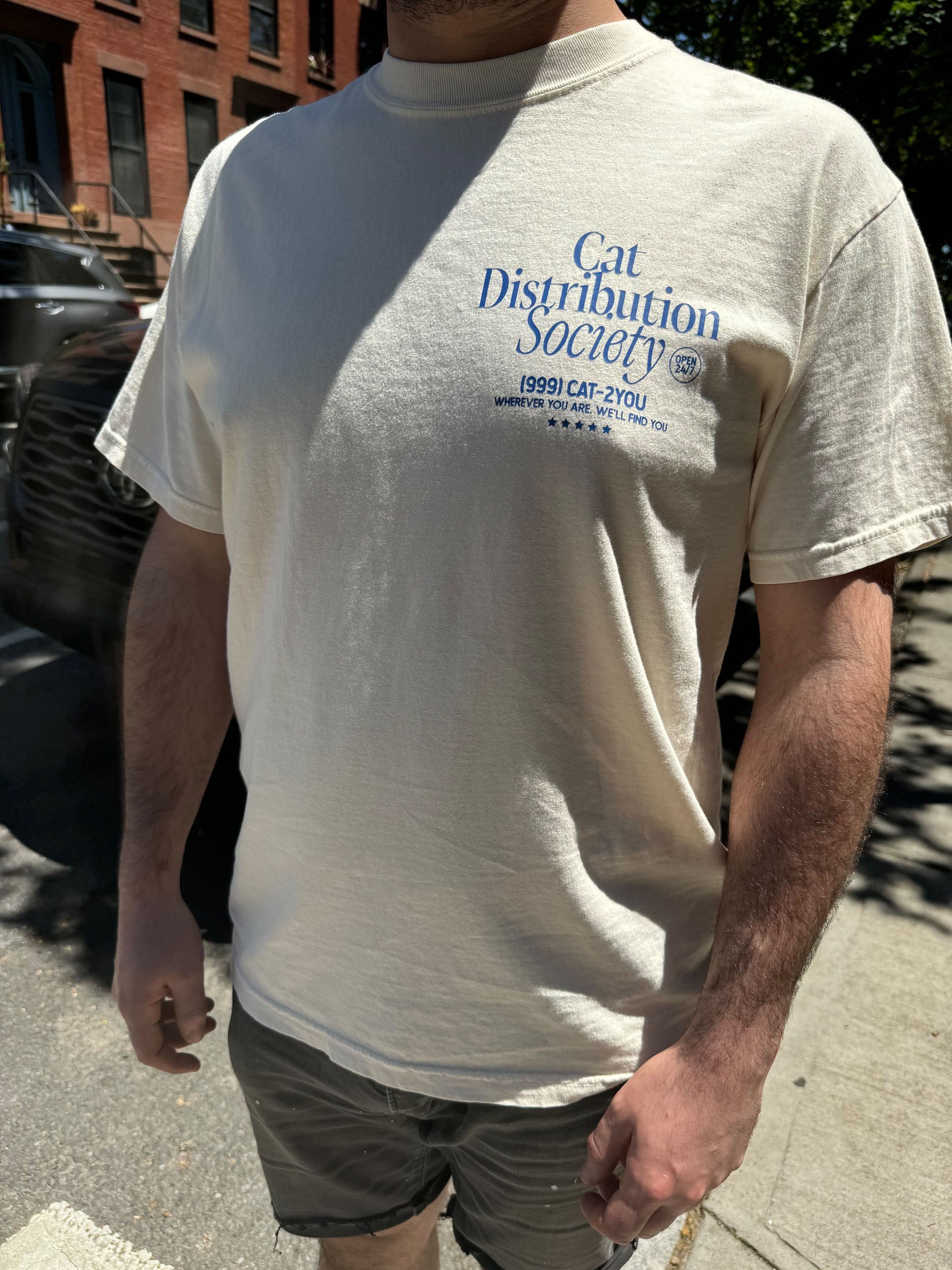 Cat distribution society oversized unisex tee (blue text) product image (2)
