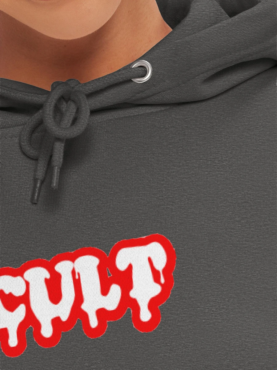 CULT RED HOODIE product image (26)