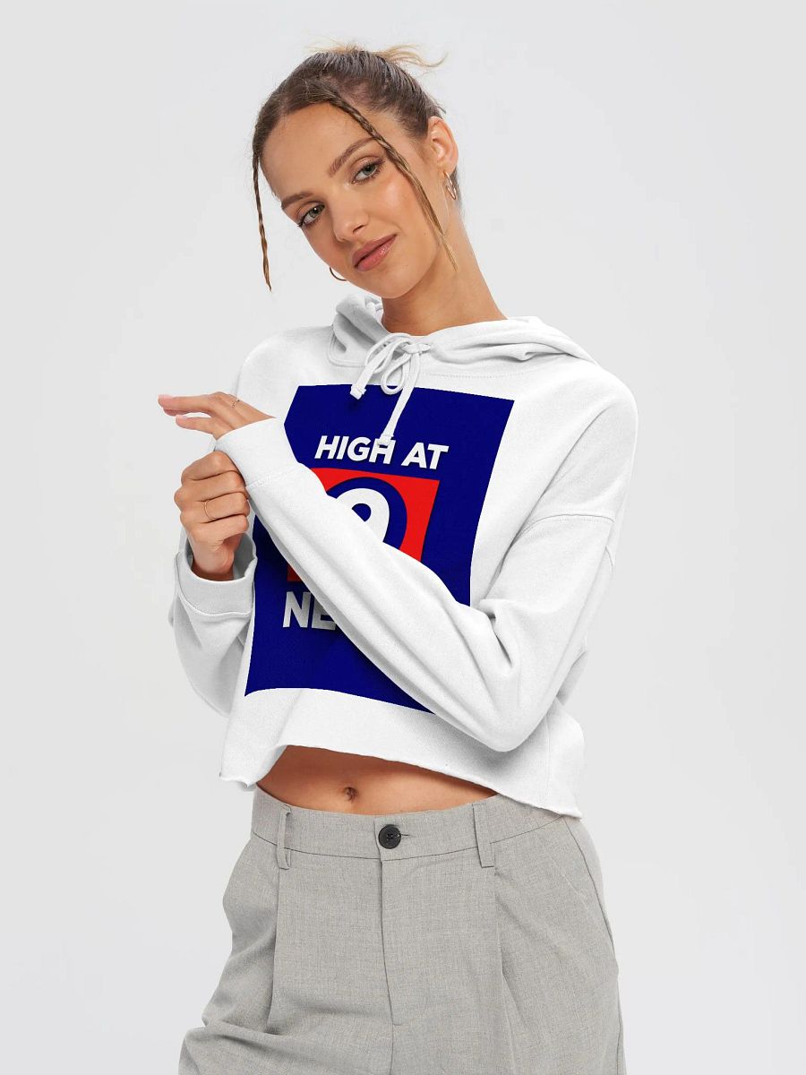 HA9N Official Logo Cropped Hoodie product image (3)