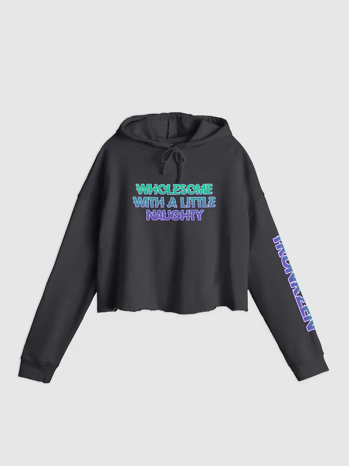 TZ Wholesome w/a little naughty Crop Hoodie product image (5)