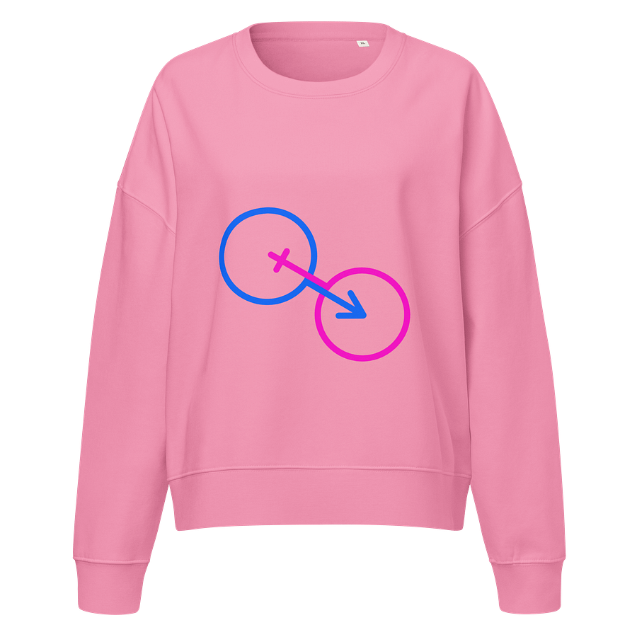 Boy & Girl Gender Norm Organic Sweatshirt product image (1)