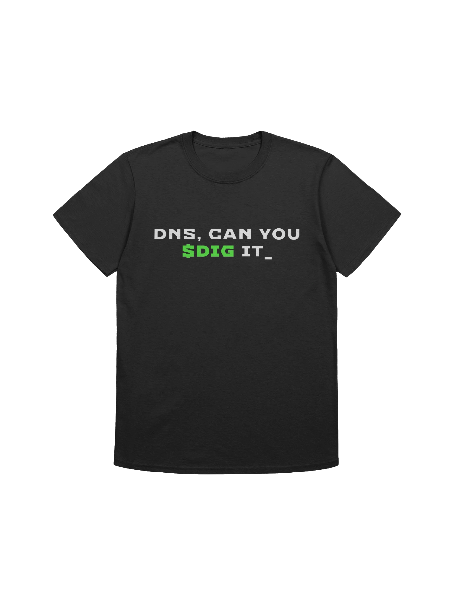 DNS - Can you Dig It? product image (1)