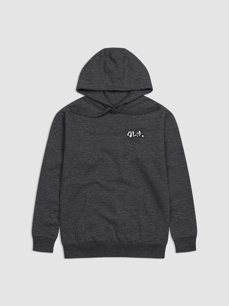 ALN Bold Bubble Letters Hoodie product image (2)