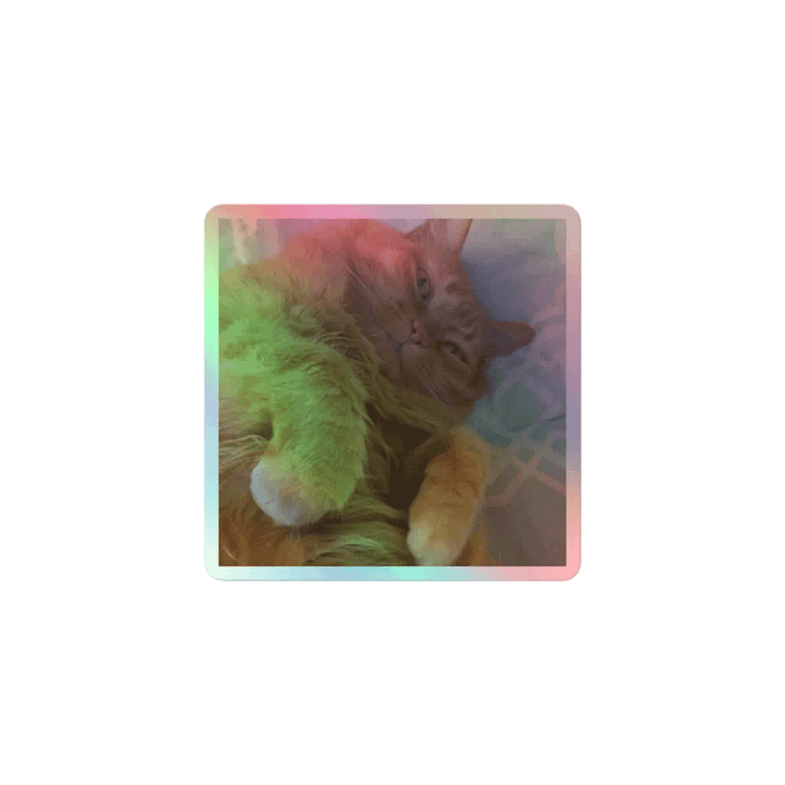 Sammy Holographic Sticker Sheet product image (1)