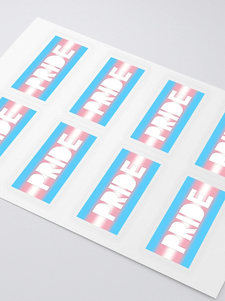 Trans Pride On Display - Stickers product image (2)