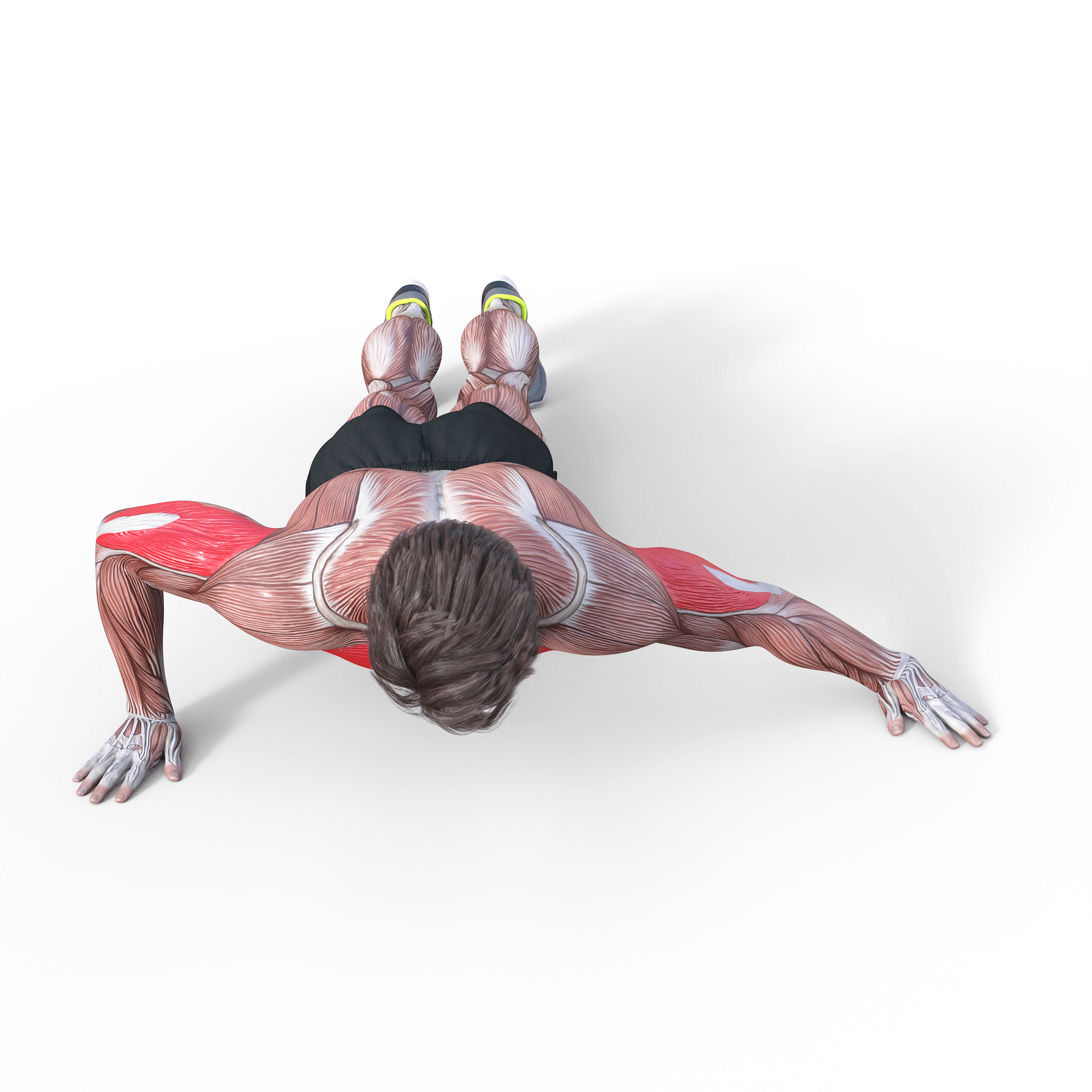 Archer Push-Ups product image (1)