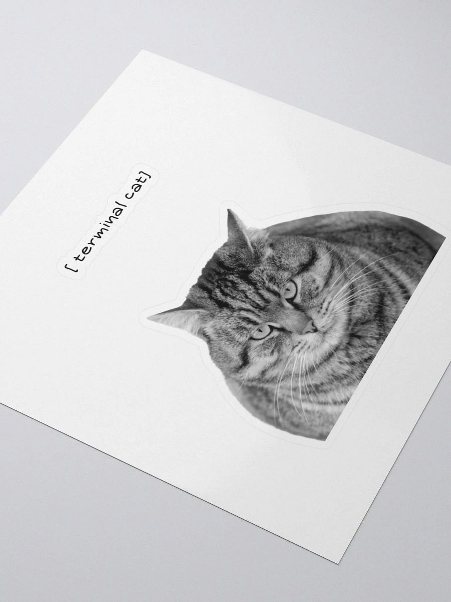 Terminal cat product image (3)