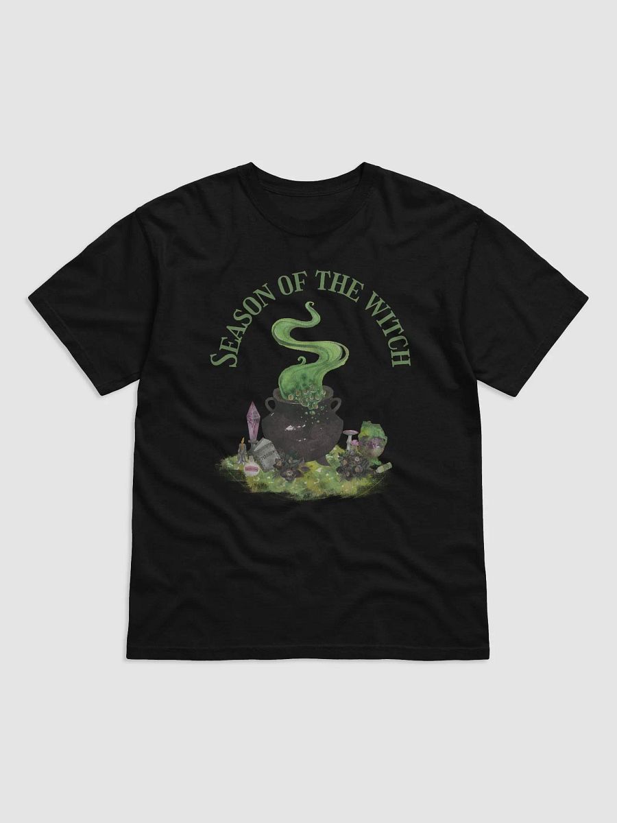 Season of the Witch Adult T-Shirt product image (1)