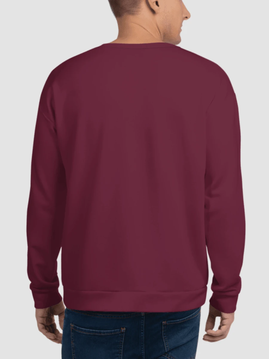 Training Club Sweatshirt - Plum product image (4)