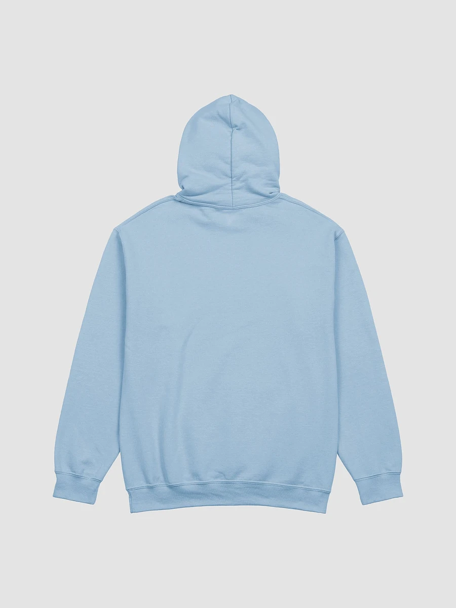 Unhinged & Dehydrated Hoodie product image (10)