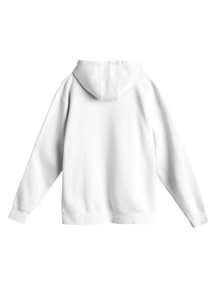 Women "TEACHES LOVE BRAINS" premium pullover hoodie product image (2)