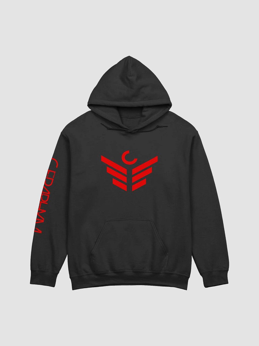 Divided Hoodie product image (1)