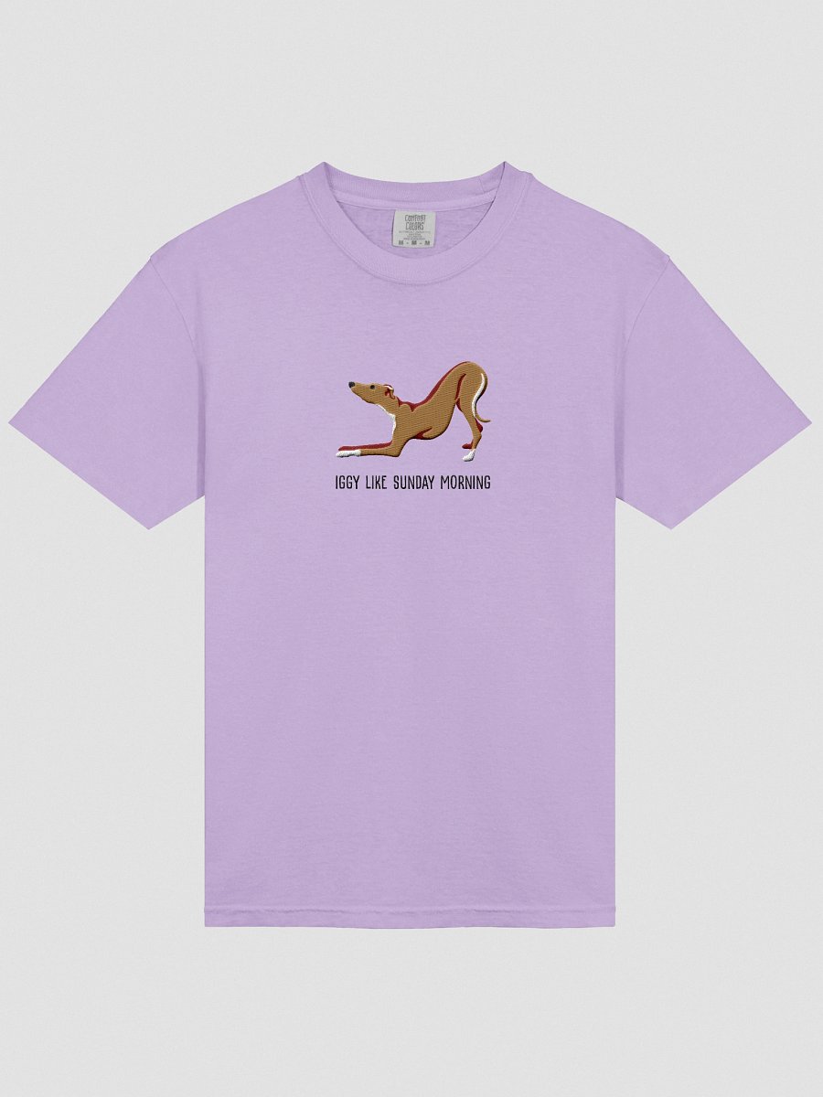 Iggy Like Sunday Morning T-Shirt(Embroidered) of an Italian Greyhound(Tan) product image (43)