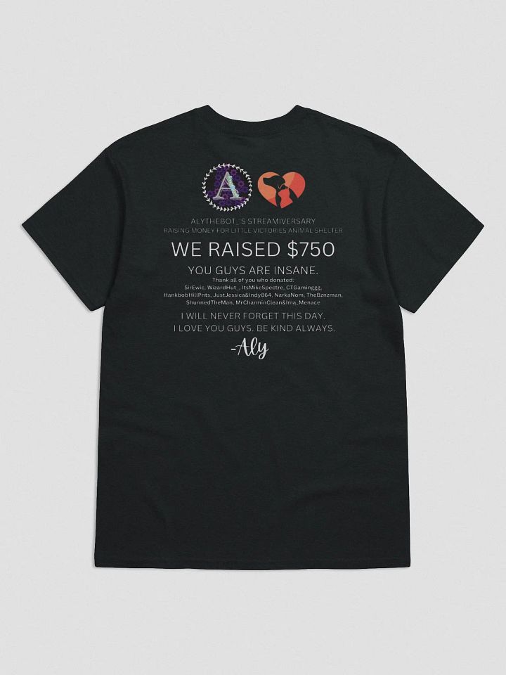Little Victories Charity Stream TShirt product image (2)