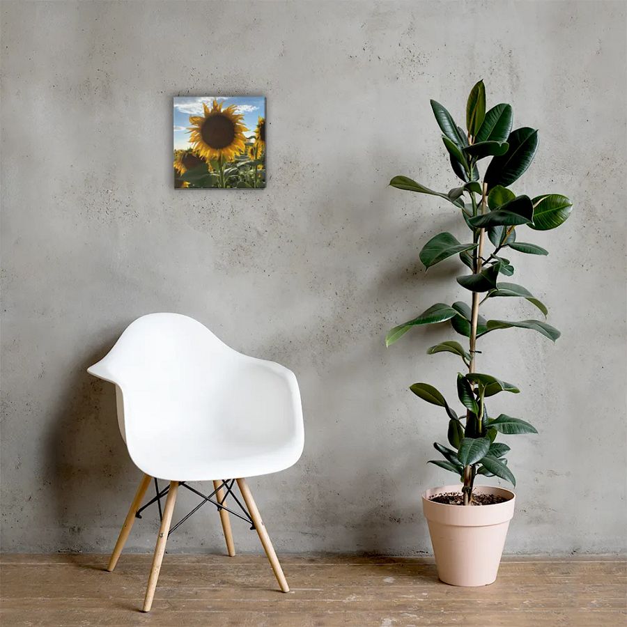 Sunflowers product image (5)