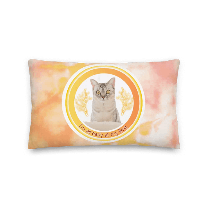 KC, At My Limit (kitty), Tie-dye Piilow product image (2)
