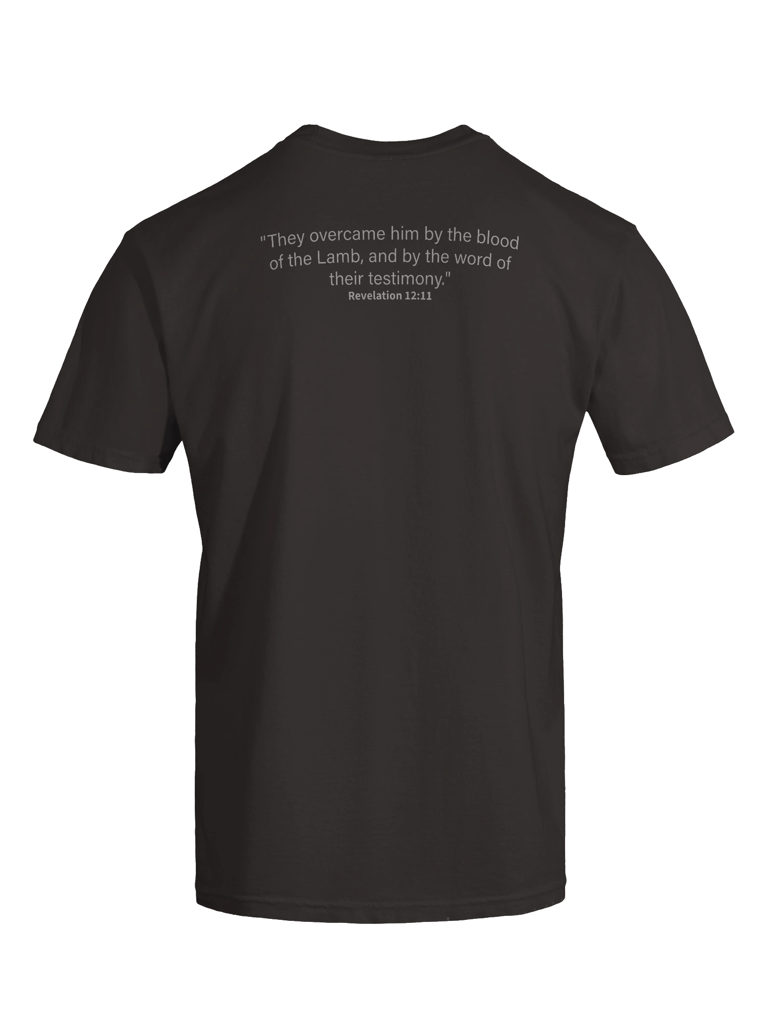 Christ for the Crisis 1 product image (9)