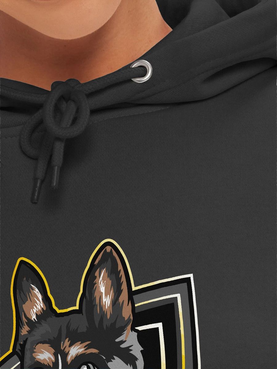Sfan Hoodie product image (56)