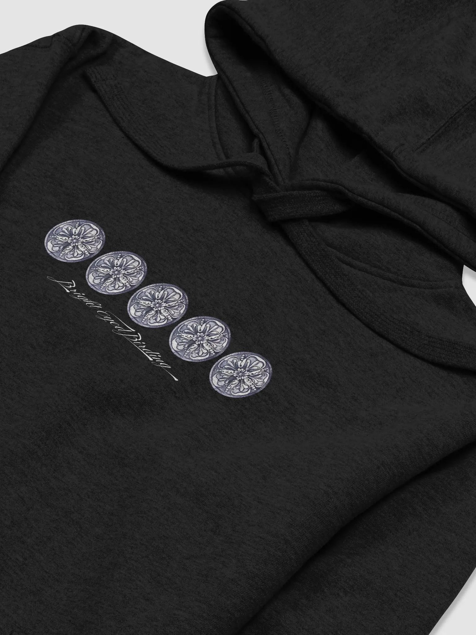 Flock 1 - Brewer's Blackbird Hoodie product image (9)