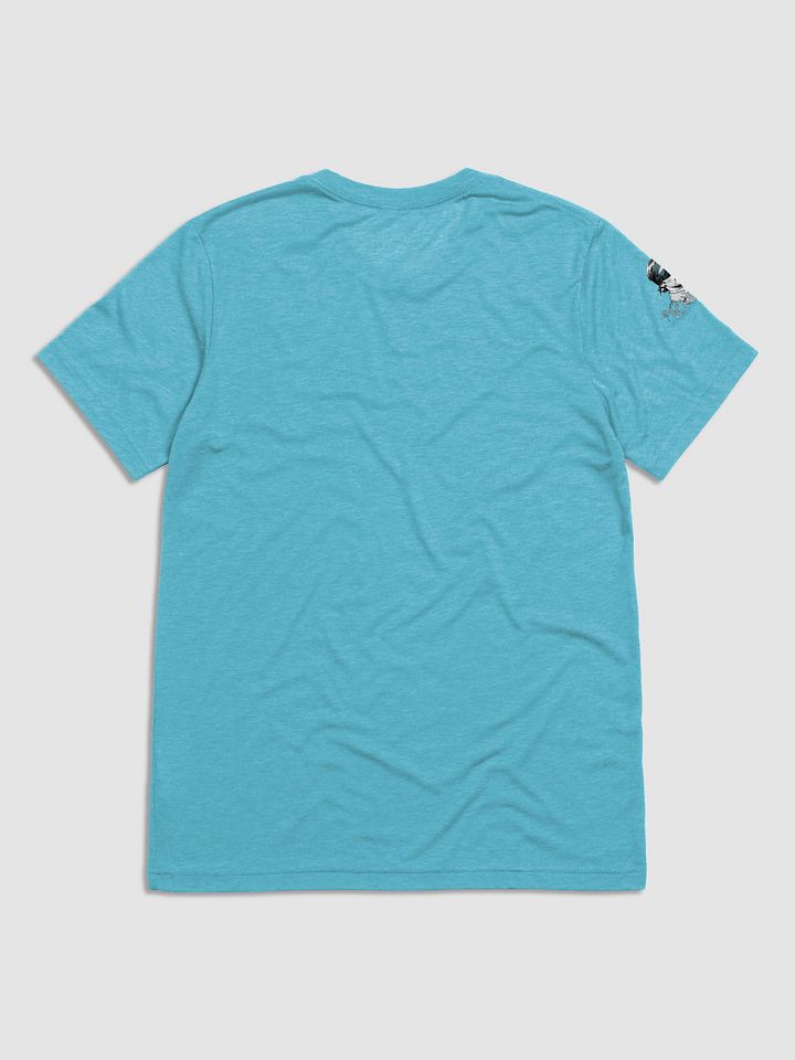 Wittol tri-blend T-shirt product image (15)